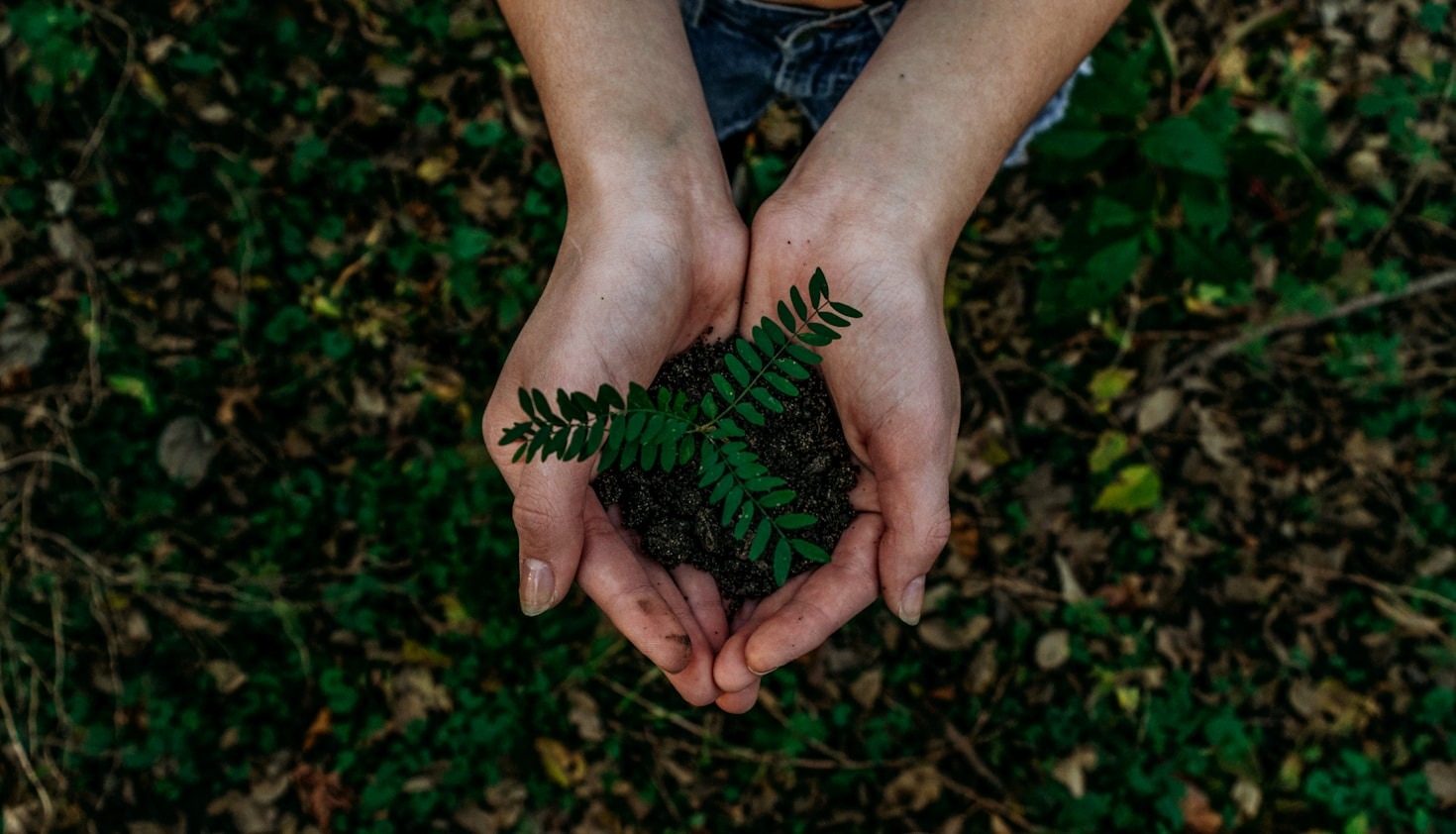 5 Sustainable Products to Transform Your Lifestyle