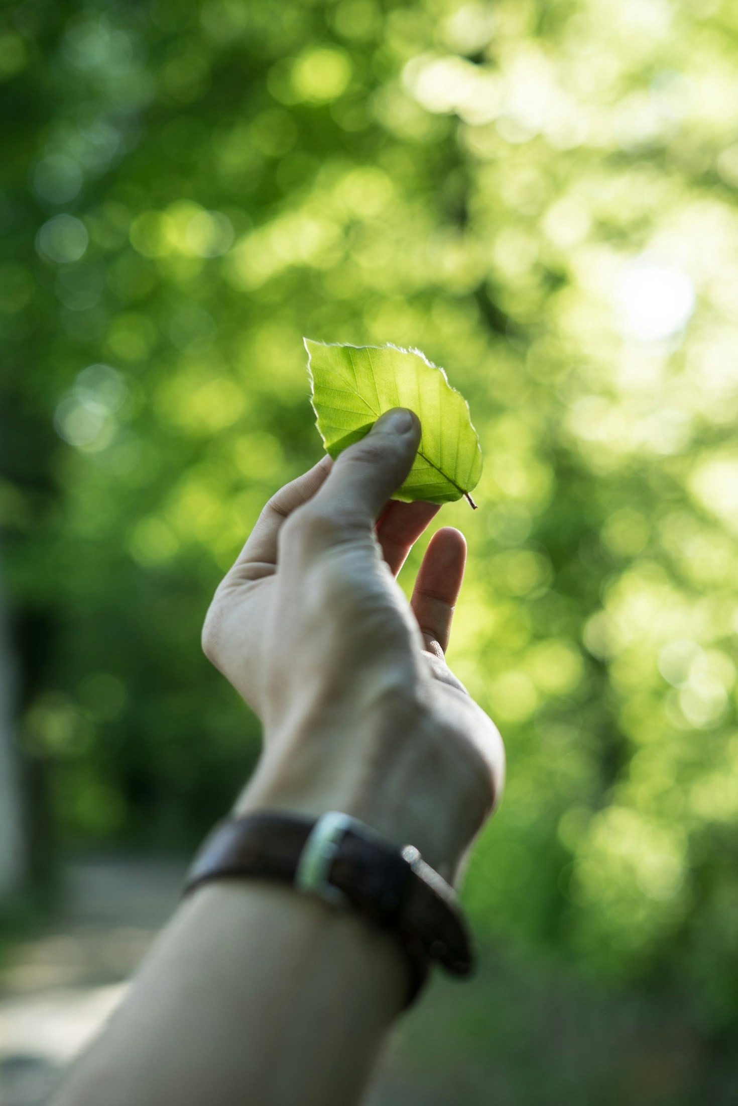 Exploring the Intersection of Business and Sustainability