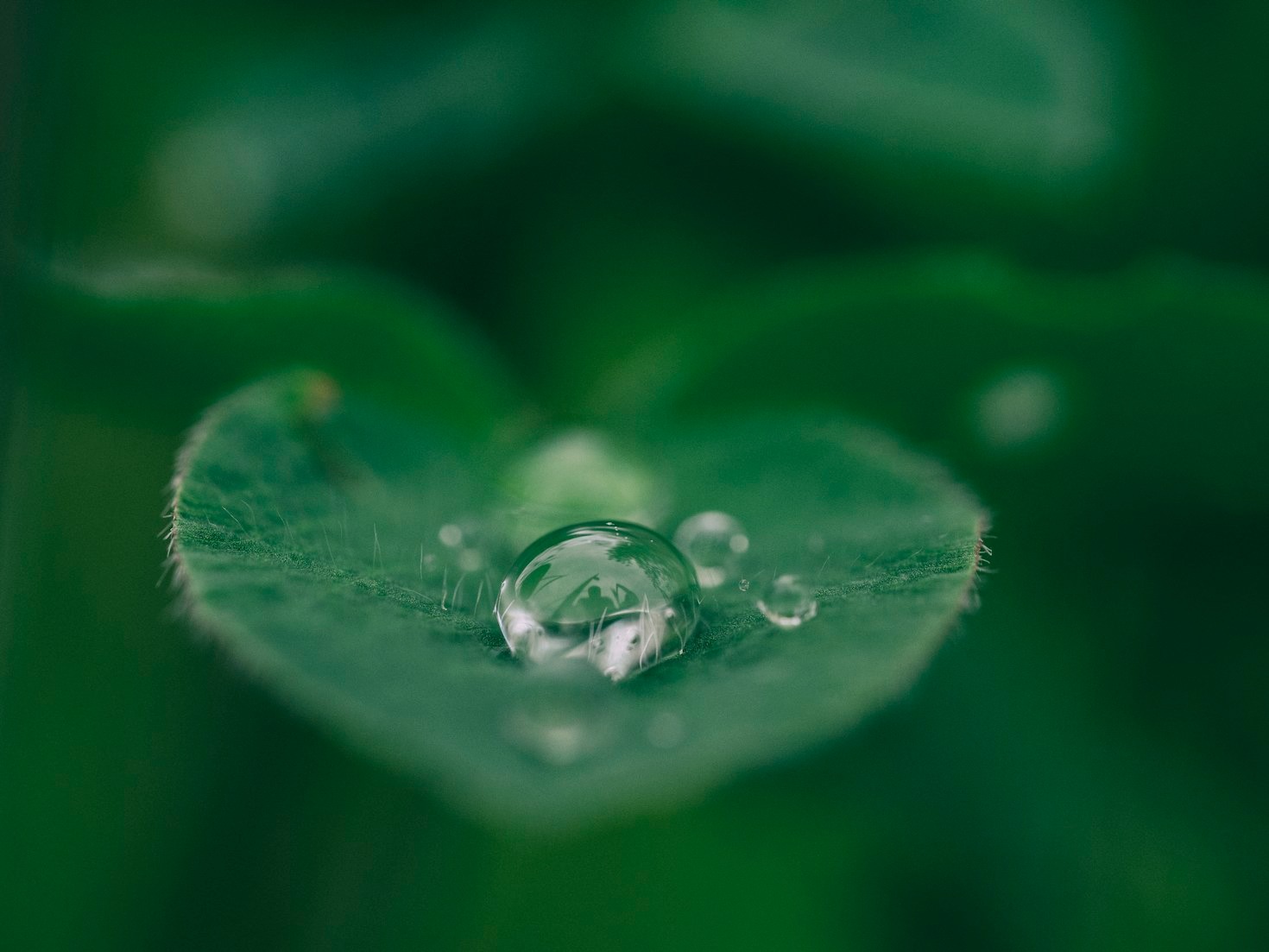 Achieving Growth Through Purpose-Driven Practices